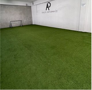 Multipurpose grass area